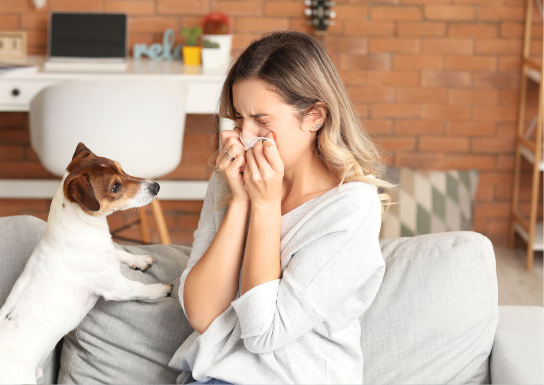 Kutyaharapást szőrével – miben segíthet az allergénspecifikus immunterápia?